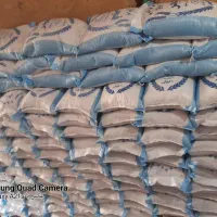 برنج فجر ممسنی بشرط پخت