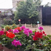 300متر-خانه-و-محوطه-در-حویق