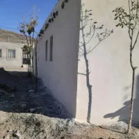 کاشیکار وسیمانکار|خدمات پیشه و مهارت|تویسرکان, |دیوار