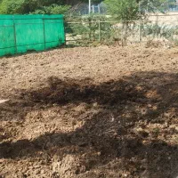 نفت سیاه امیدیه|خدمات نظافت|امیدیه, |دیوار