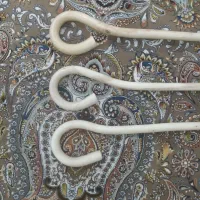 عصا طبیعی از بهترین چوبهای زاکرس دست می کنم