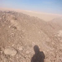 کود دامی خشک