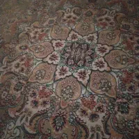 فروش دارقالی قیمت توافقی