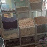 استند حبوبات