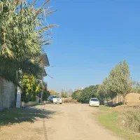 هادی شهر 250متر مسکونی شهری تفکیکی و سند و پروانه|فروش زمین و ملک کلنگی|هادی شهر, |دیوار