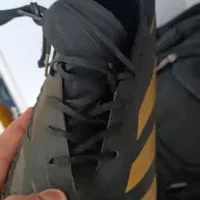 استوک فوتبال  پریدیتور