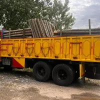 خریدار چوب درخت صنوبر|خدمات باغبانی و درختکاری|صومعهسرا, |دیوار