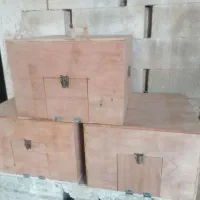 قوطی نر تنها، دمگیر