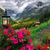 گم شدن شناسنامه