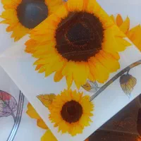 بشقاب