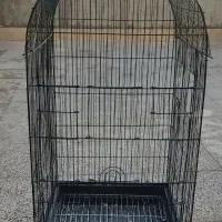 قفس ۱۰۳۳