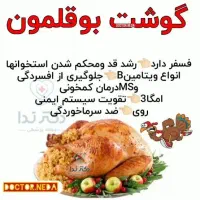 بوقلمون گوشتی بیوتی|حیوانات مزرعه|قوچان, |دیوار