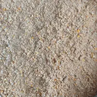 فروش دان پرواری