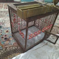 قفس سره چوبی|پرنده|بومهن, |دیوار