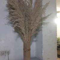 گل و گلدان