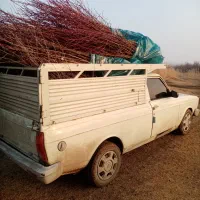 نهال خاص|خدمات باغبانی و درختکاری|فیروزآباد (لرستان), |دیوار