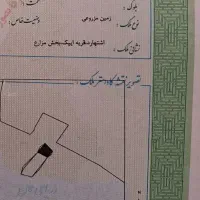 زمین کشاورزی 5000 متری ایپک سند تکبرگ|فروش زمین و ملک کلنگی|اشتهارد, |دیوار