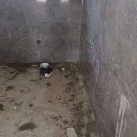 سنگ نما و کاشی کاری|خدمات پیشه و مهارت|رشت, بیجارپس|دیوار