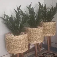 گلدان حصیری