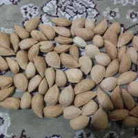 پاکدشت (حصارامیر) خیابان علامه