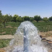 پیدا کردن اب با ضمانت|خدمات باغبانی و درختکاری|قروه, |دیوار