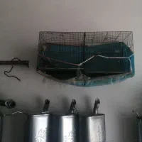 قفس