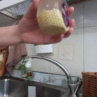 تخم حلزون اچاتینا و البینو به همراه 100 مولد