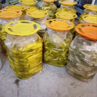 ترشی بیلهر. مفت