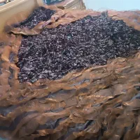 روتختی دونفره
