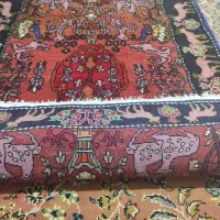 قالی دست باف|فرش|بروجرد, |دیوار