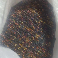 ونوشک نرمه تازه