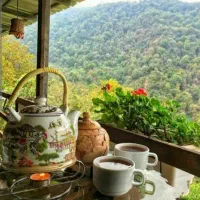 حال بهتر (راهنمایی میکنم )