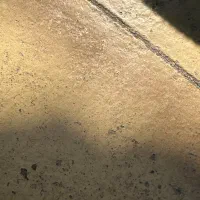 استخدام نیروی خانم جهت نظافت و آشپزی