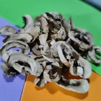 قارچ خشک|خوردنی و آشامیدنی|مشهد, امیریه|دیوار