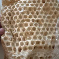 نیروی کار در نانوایی