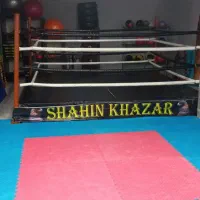 رینگ بوکس ۴×۴