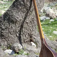 ستار هرفه ای 2مهر کاملا خوش صدا