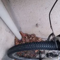 دوچرخه پلیس|دوچرخه، اسکیت، اسکوتر|رشت, چمارسرا|دیوار