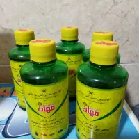 سم فوق‌العاده قوی سوسک