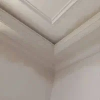 گچکاری وگچ بری فیروز