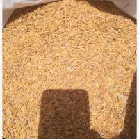 چلتوک برج لنجان