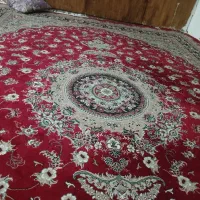 قالی هزار شانه