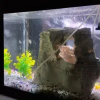 آکواریوم شیشه خم ( با تمام تجهیزات )|ماهی|تهران, جابری|دیوار