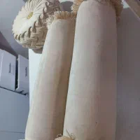 کوسن