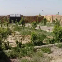 نگهبان باغشهری