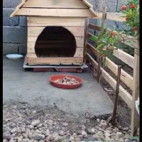 لانه سگ|لوازم جانبی حیوانات|شیرود, |دیوار