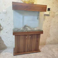 آکواریوم شرکتی