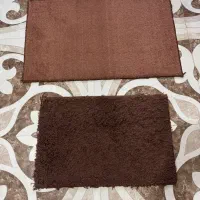 پادری