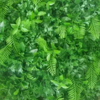 انواع گرینوال سبز و رنگی 50*50 دیوار گل|گل مصنوعی|بهارستان, |دیوار