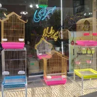 پرنده سرای پرطلا قروه درگزین